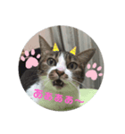 ナナエモン（個別スタンプ：2）