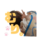 つむちゃんスタンプ vol1（個別スタンプ：11）