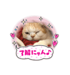 うちのミルキー16（個別スタンプ：8）