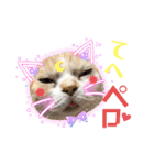 うちのミルキー16（個別スタンプ：15）
