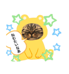 猫のつなたん（個別スタンプ：4）