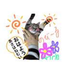 猫のつなたん（個別スタンプ：6）