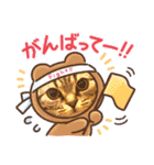 猫のつなたん（個別スタンプ：13）