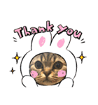 猫のつなたん（個別スタンプ：16）