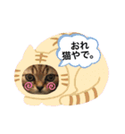 猫のつなたん（個別スタンプ：18）