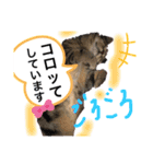 猫のつなたん（個別スタンプ：19）