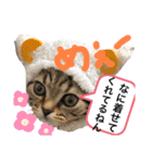 猫のつなたん（個別スタンプ：21）