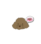 ふわふわプードルの日常（個別スタンプ：14）