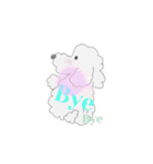 ふわふわプードルの日常（個別スタンプ：16）