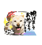 stamp of pico 2（個別スタンプ：1）