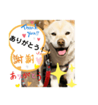 stamp of pico 2（個別スタンプ：3）