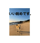 stamp of pico 2（個別スタンプ：6）