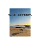 stamp of pico 2（個別スタンプ：7）