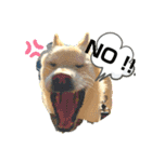 stamp of pico 2（個別スタンプ：9）