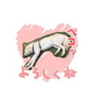 stamp of pico 2（個別スタンプ：11）
