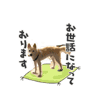 stamp of pico 2（個別スタンプ：12）
