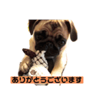 パクのJB（個別スタンプ：3）