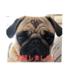 パクのJB（個別スタンプ：4）
