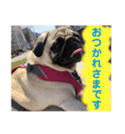 パクのJB（個別スタンプ：5）