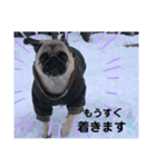 パクのJB（個別スタンプ：8）