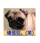 パクのJB（個別スタンプ：9）