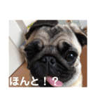パクのJB（個別スタンプ：10）