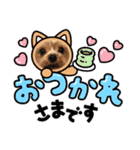 福しほ55（個別スタンプ：3）