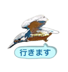 翡翠 510（個別スタンプ：4）