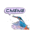 翡翠 510（個別スタンプ：14）