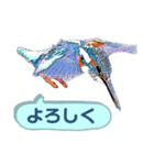 翡翠 510（個別スタンプ：15）