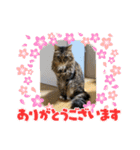 atlas ＆ marron 日和（個別スタンプ：3）