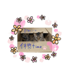 atlas ＆ marron 日和（個別スタンプ：6）