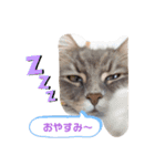 ダックスのりりちゃんと仲間（2nd）（個別スタンプ：6）