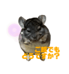 コトロの日常（個別スタンプ：7）