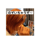 まいちゃん（part3）（個別スタンプ：7）