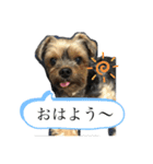 こたろうの気持ちスタンプ（個別スタンプ：12）