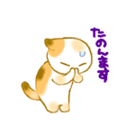 いろいろ猫たまに関西弁（個別スタンプ：15）