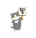 いろいろ猫たまに関西弁（個別スタンプ：28）