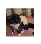 困った顔の寧々たんスタンプ（個別スタンプ：5）