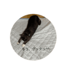 困った顔の寧々たんスタンプ（個別スタンプ：7）