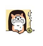 まー柴（個別スタンプ：7）