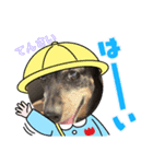 らんLIFE2（個別スタンプ：6）