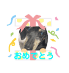 らんLIFE2（個別スタンプ：8）