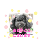ろろ丸弁護士日常編（個別スタンプ：1）