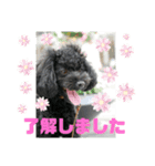 ろろ丸弁護士日常編（個別スタンプ：3）