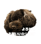 ろろ丸弁護士日常編（個別スタンプ：5）