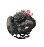 ろろ丸弁護士日常編（個別スタンプ：6）