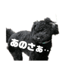 ろろ丸弁護士日常編（個別スタンプ：8）