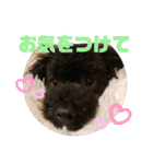 ろろ丸弁護士日常編（個別スタンプ：9）