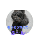 ろろ丸弁護士日常編（個別スタンプ：12）